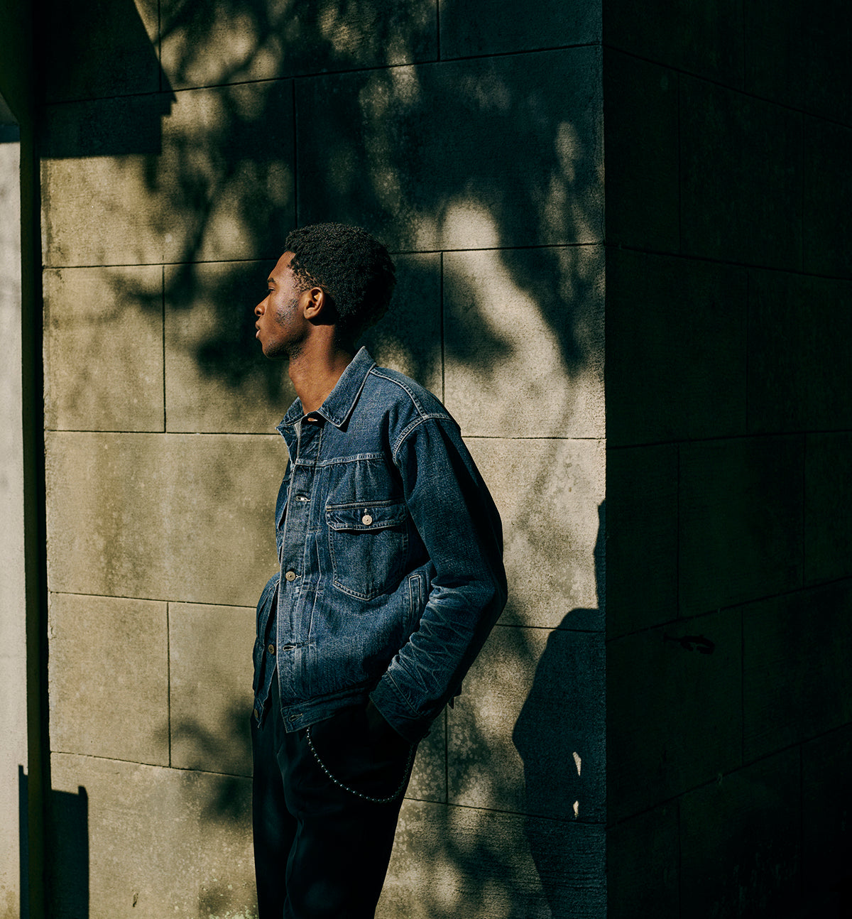 gold - TOYO ENTERPRISE 東洋エンタープライズ　東洋 ゴールド